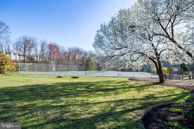 a view of a swimming pool with trees in the background