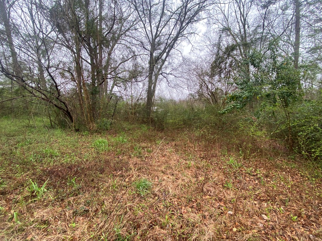 139 Brookfield Road Ozark, AL 36360 - Photo 2 of 4