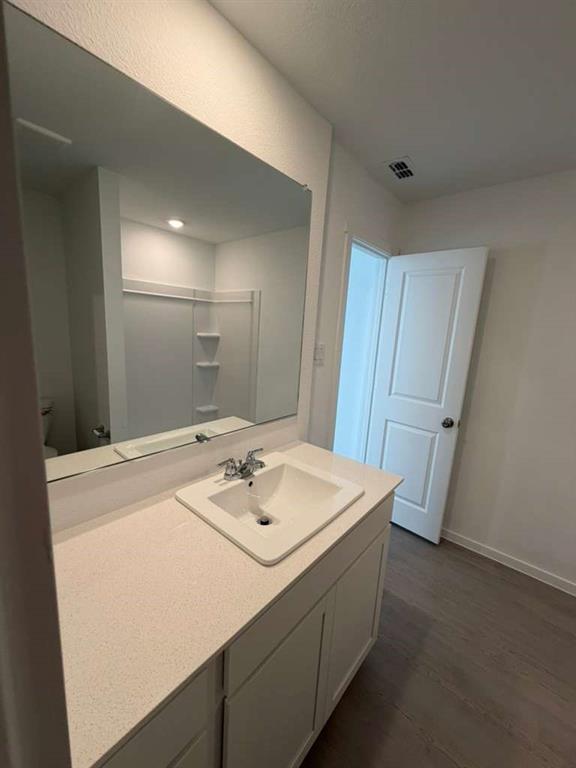 1612 Elliott Road Howe, TX 75459 - Photo 10 of 19 a bathroom with a sink a vanity and a mirror