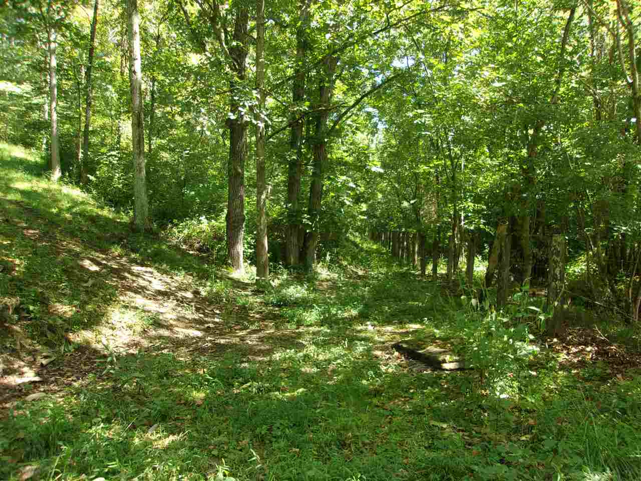 30-acres Dover Road Augusta, KY 41002 - Photo 10 of 50 Gallery Image 10