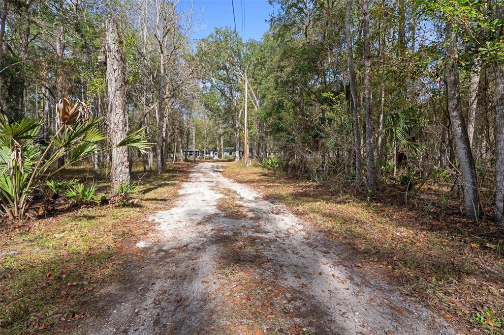 22439 Bull Run Road Brooksville, FL 34602 - Photo 2 of 66 a view of dirt yard with trees