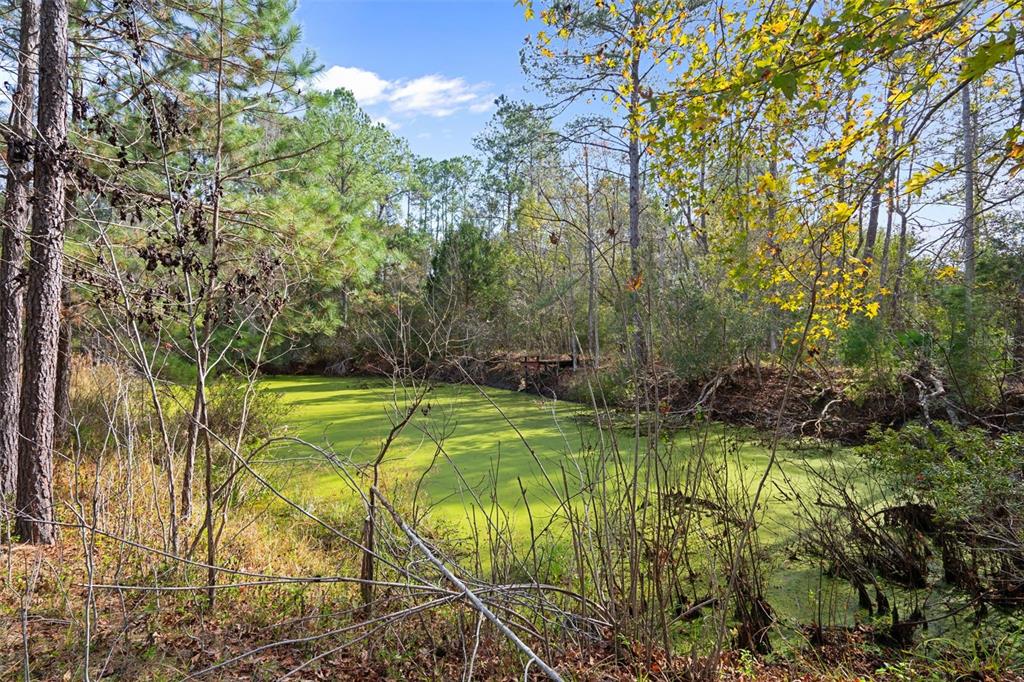 22439 Bull Run Road Brooksville, FL 34602 - Photo 3 of 66 a view of swimming pool from a garden