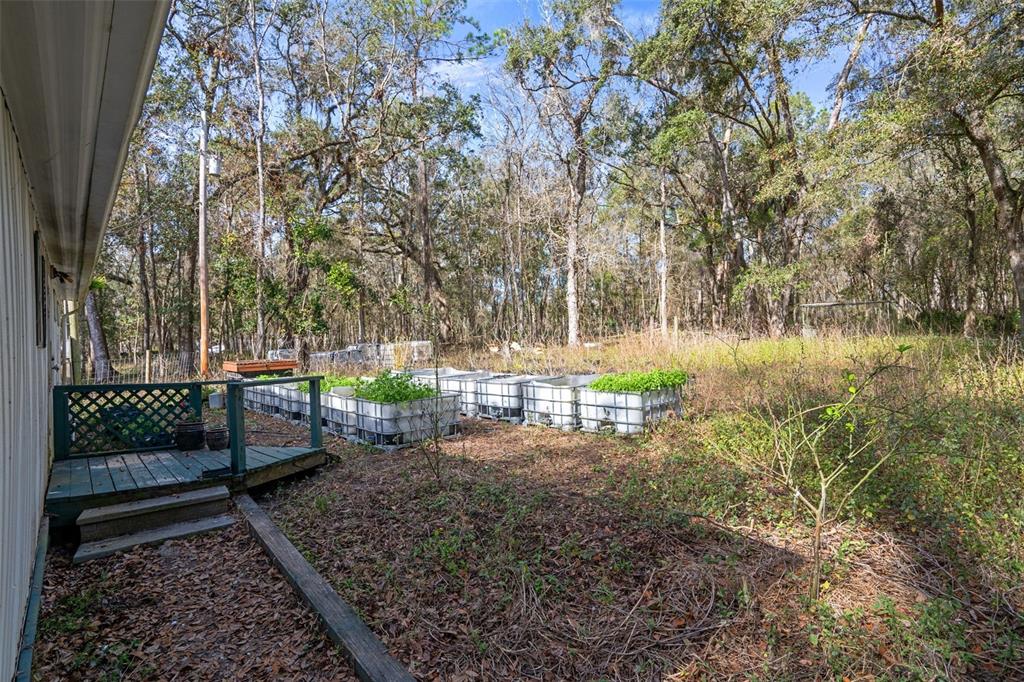 22439 Bull Run Road Brooksville, FL 34602 - Photo 38 of 66 a backyard of a house with lots of green space