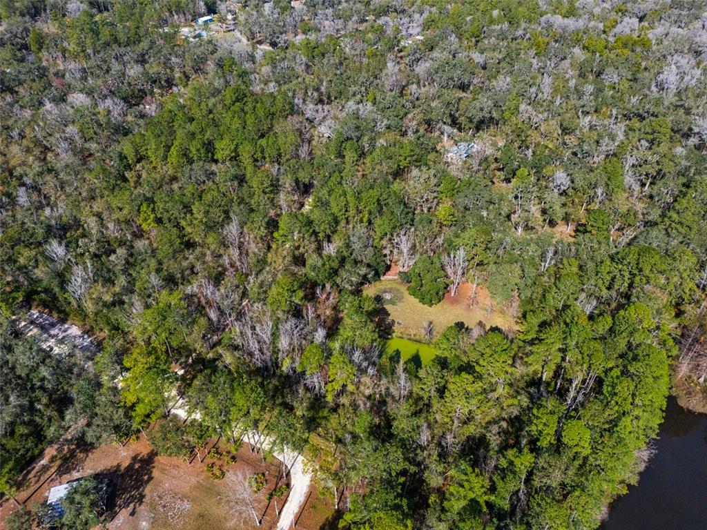 22439 Bull Run Road Brooksville, FL 34602 - Photo 59 of 66 a view of a yard