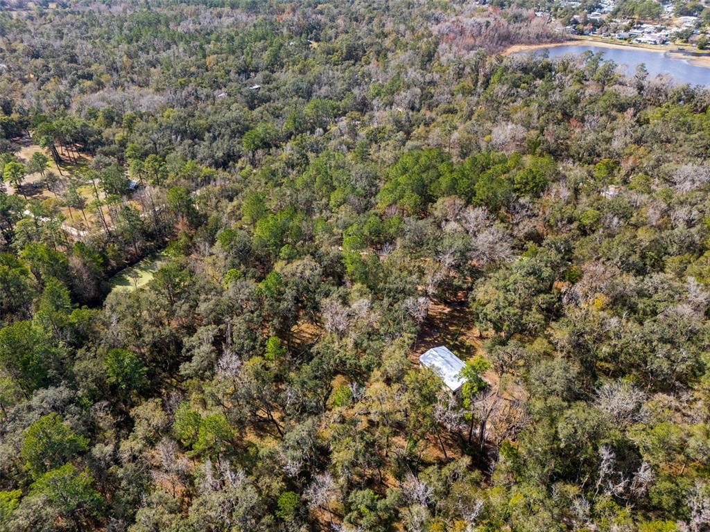 22439 Bull Run Road Brooksville, FL 34602 - Photo 62 of 66 an aerial view of a houses with a lush green forest