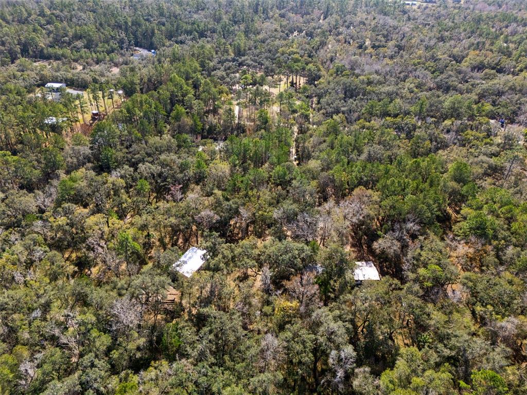 22439 Bull Run Road Brooksville, FL 34602 - Photo 63 of 66