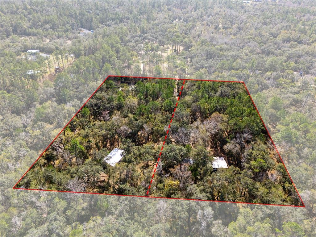 22439 Bull Run Road Brooksville, FL 34602 - Photo 64 of 66 a view of a yard