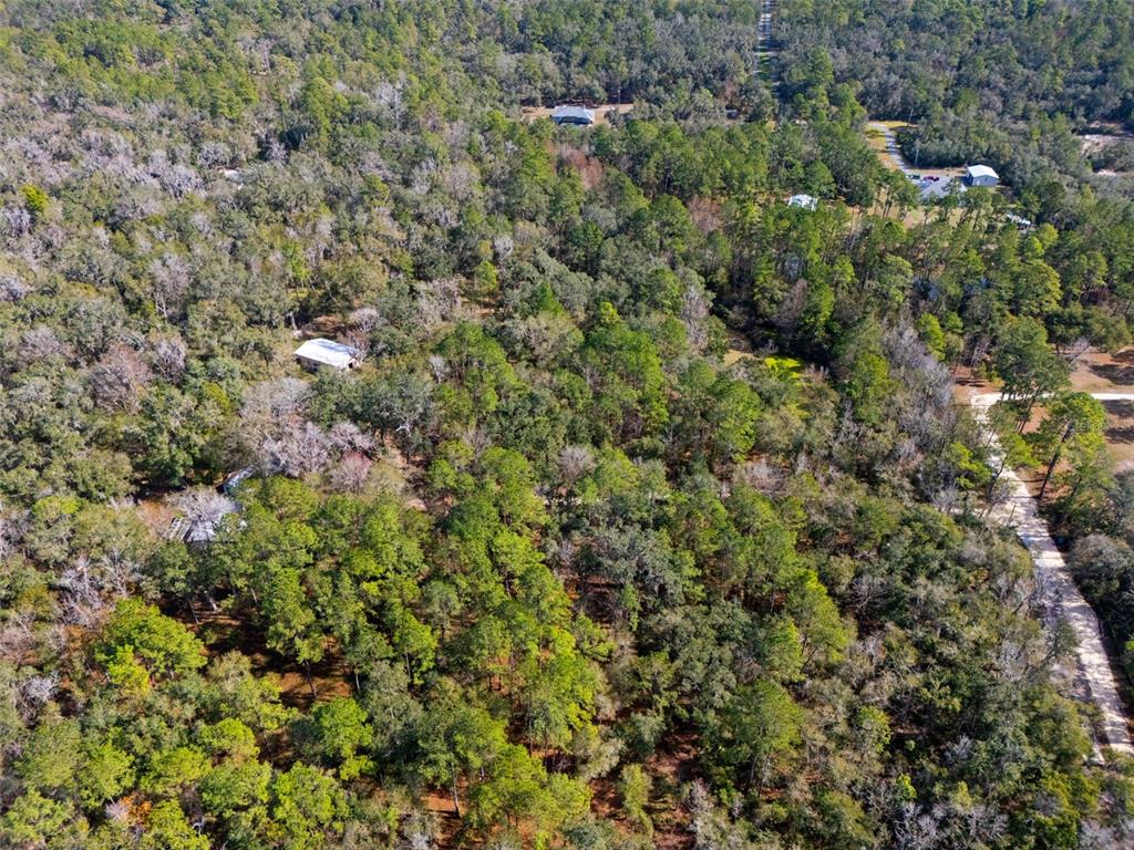 22439 Bull Run Road Brooksville, FL 34602 - Photo 66 of 66 a view of a house with a lush green forest