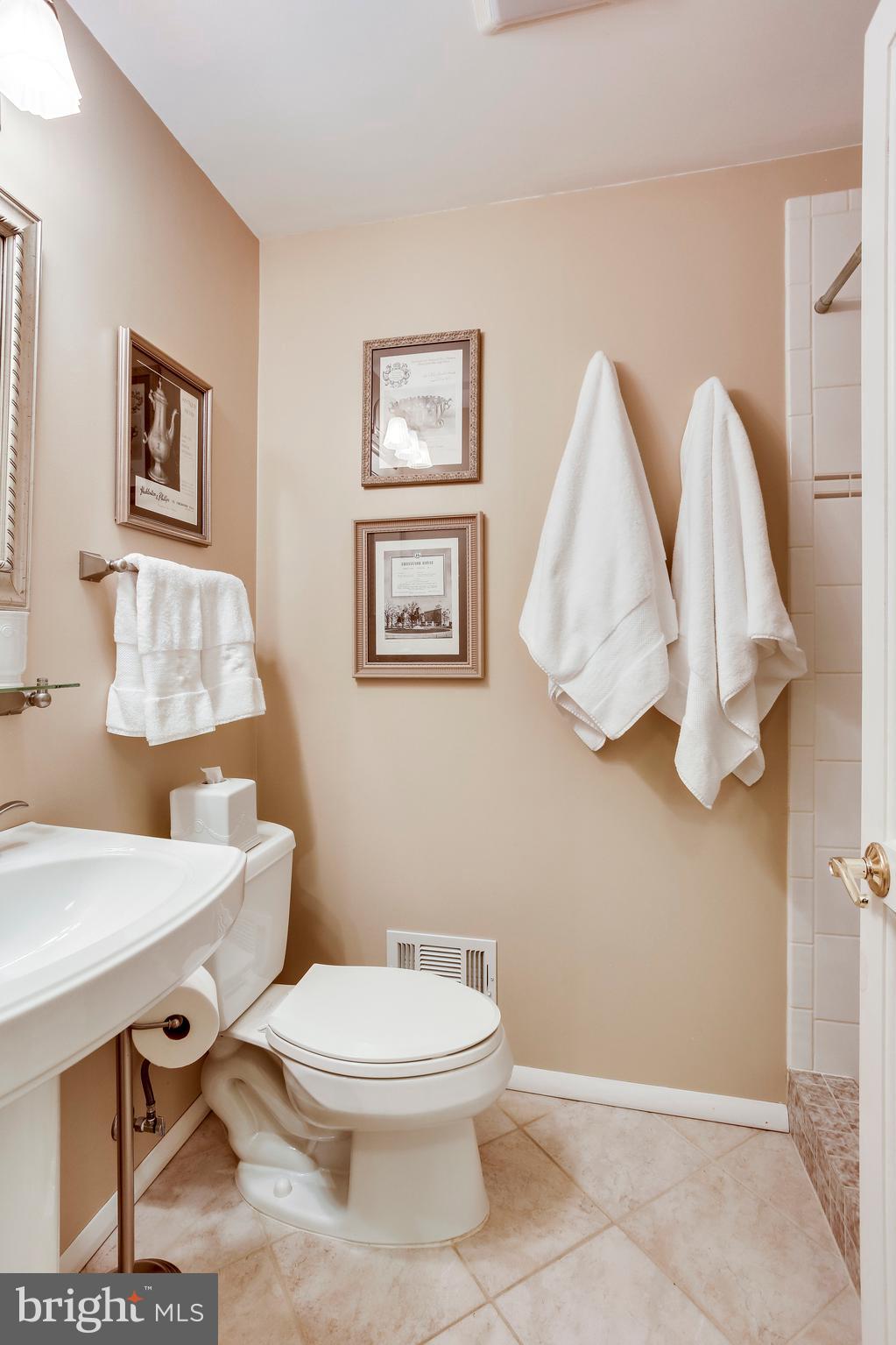 10199 Red Spruce Road Fairfax, VA 22032 - Photo 30 of 66 Gallery Image 30