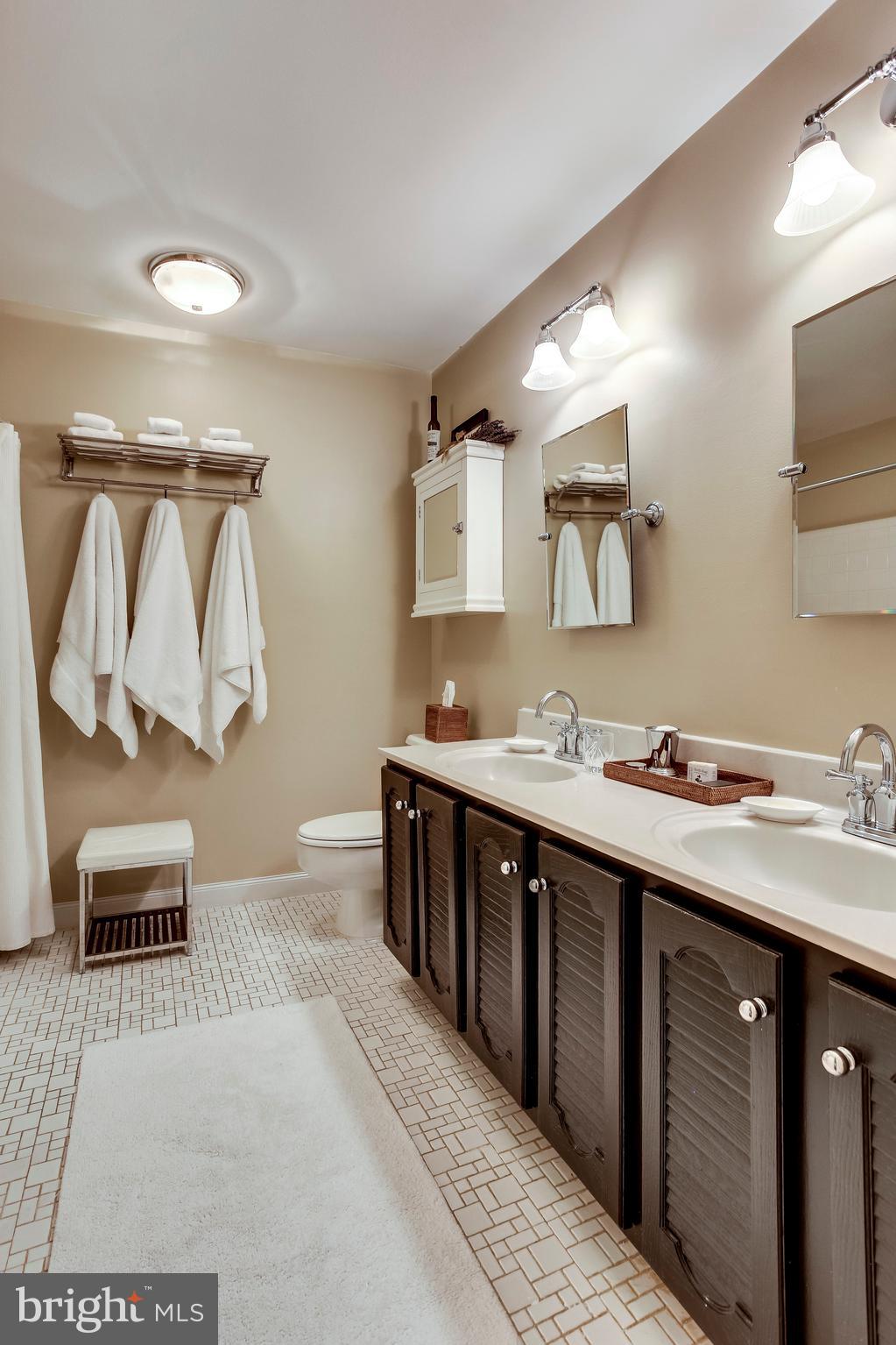 10199 Red Spruce Road Fairfax, VA 22032 - Photo 45 of 66 Gallery Image 45