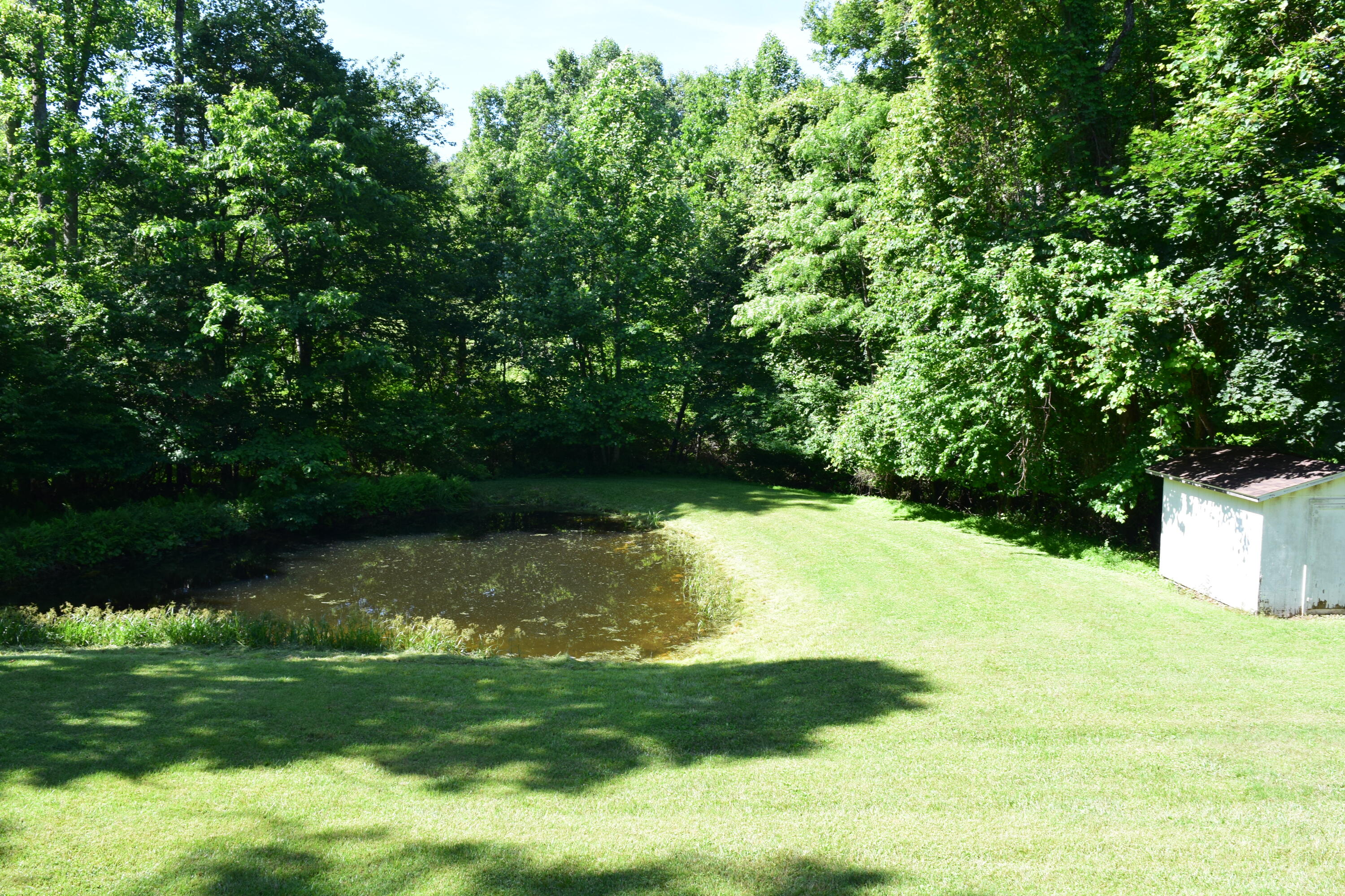 812 Conner Grove Road Southwest Willis, VA 24380 - Photo 6 of 87 DSC_0008
