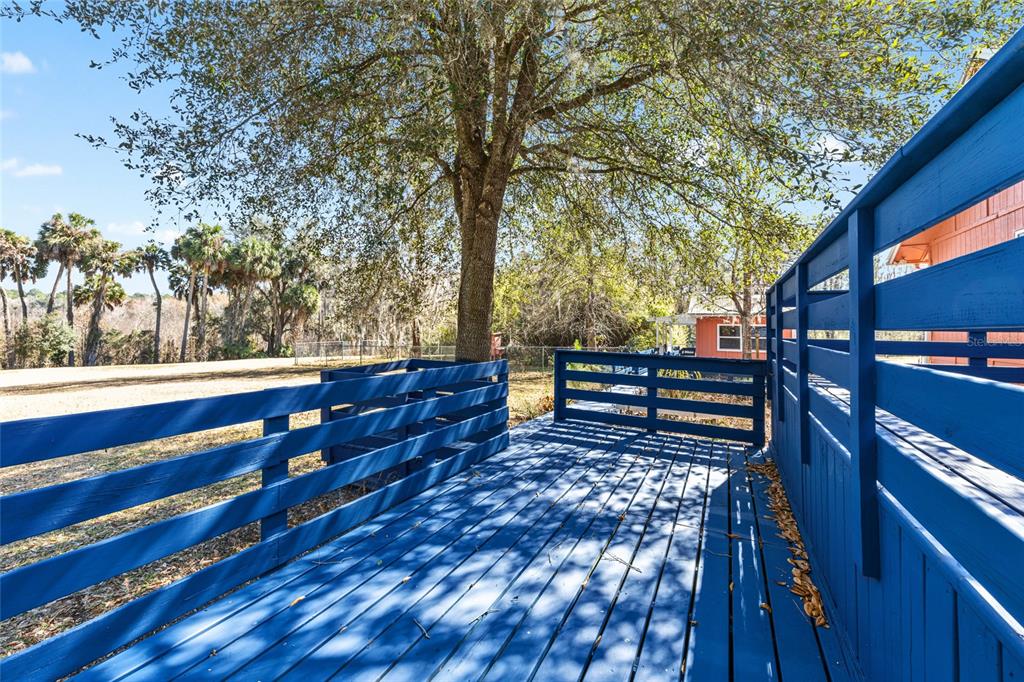 22157 Northwest 87th Avenue Road Micanopy, FL 32667 - Photo 18 of 34 a view of a bench in a forest