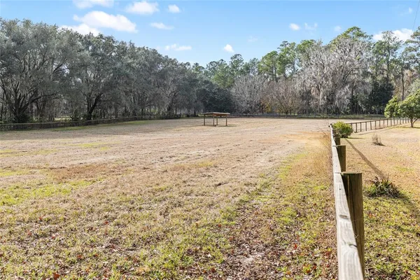 a view of backyard with large trees
