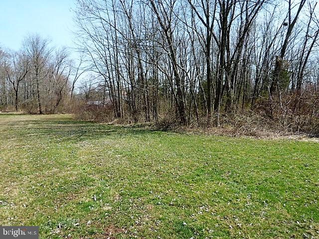 1251 Swamp Road Furlong, PA 18925 - Photo 26 of 57 Back Yard