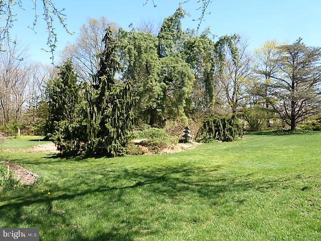 1251 Swamp Road Furlong, PA 18925 - Photo 27 of 57 Back Yard
