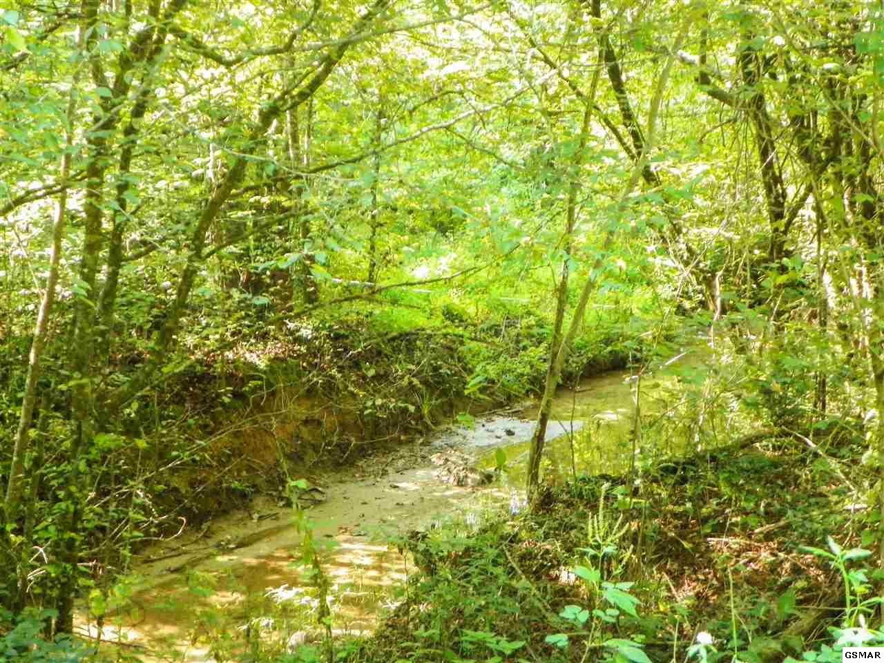 501 Acre Tract Bogard Road Cosby, TN 37722 - Photo 10 of 18