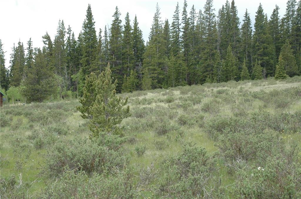 1353 Quartzville Road Alma, CO 80420 - Photo 9 of 12 Gallery Image 9