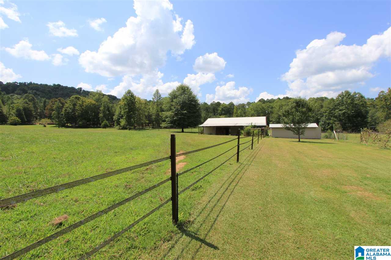 588 Seven Springs Road Wellington, AL 36279 - Photo 22 of 50