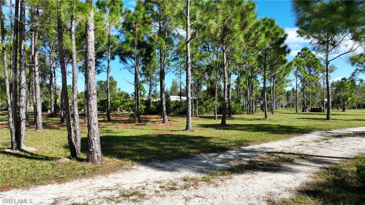 50348-50352 Bermont Road Punta Gorda, FL 33982 - Photo 13 of 27 Gallery Image 13