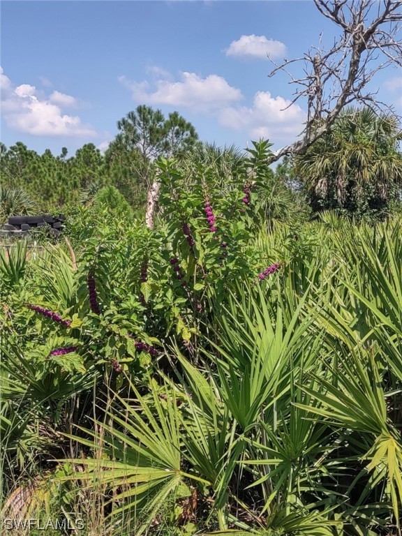 50348-50352 Bermont Road Punta Gorda, FL 33982 - Photo 25 of 27 Gallery Image 25