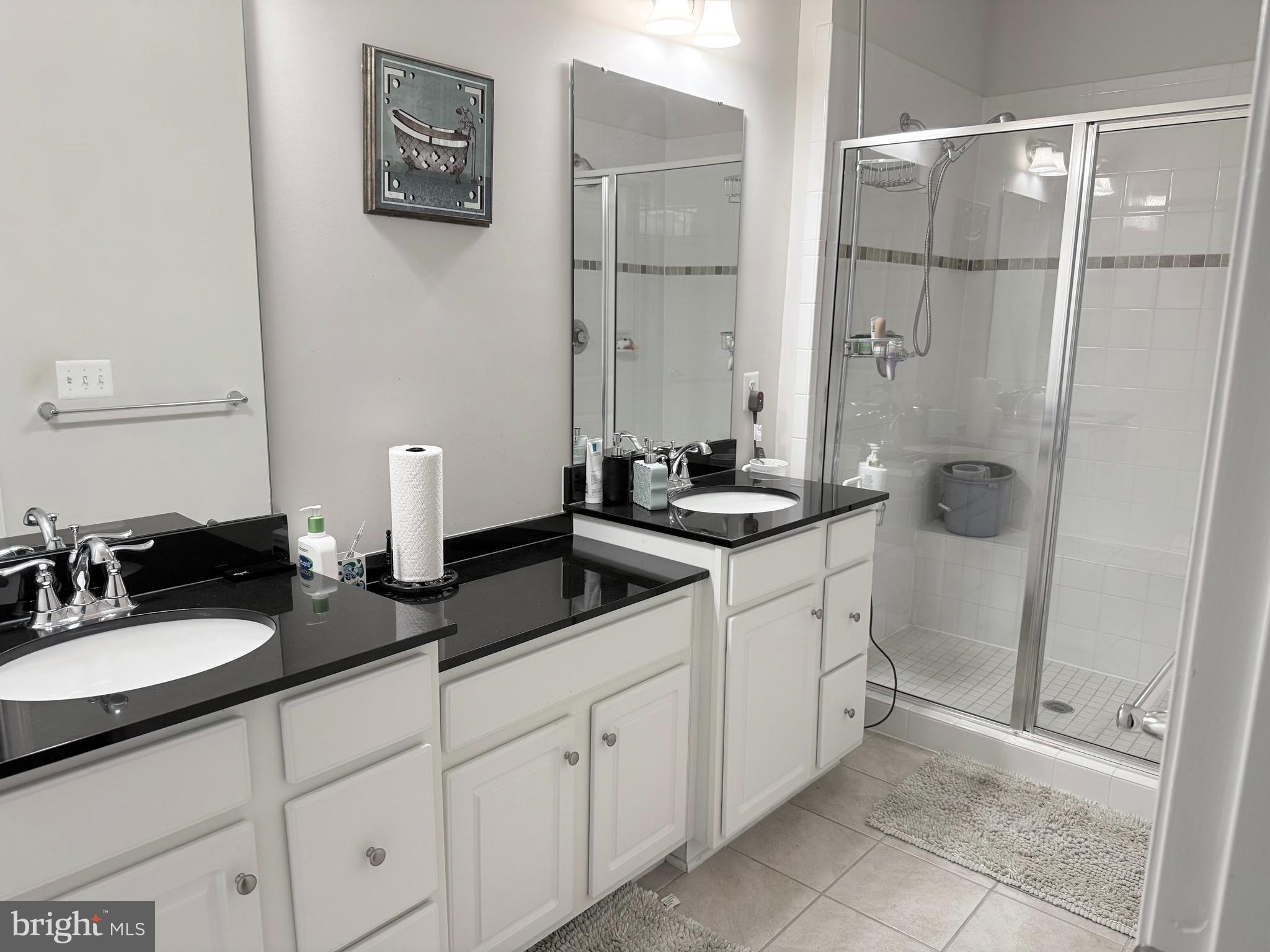 22269 Sims Terrace Ashburn, VA 20148 - Photo 29 of 44 a bathroom with a double sink shower and a mirror