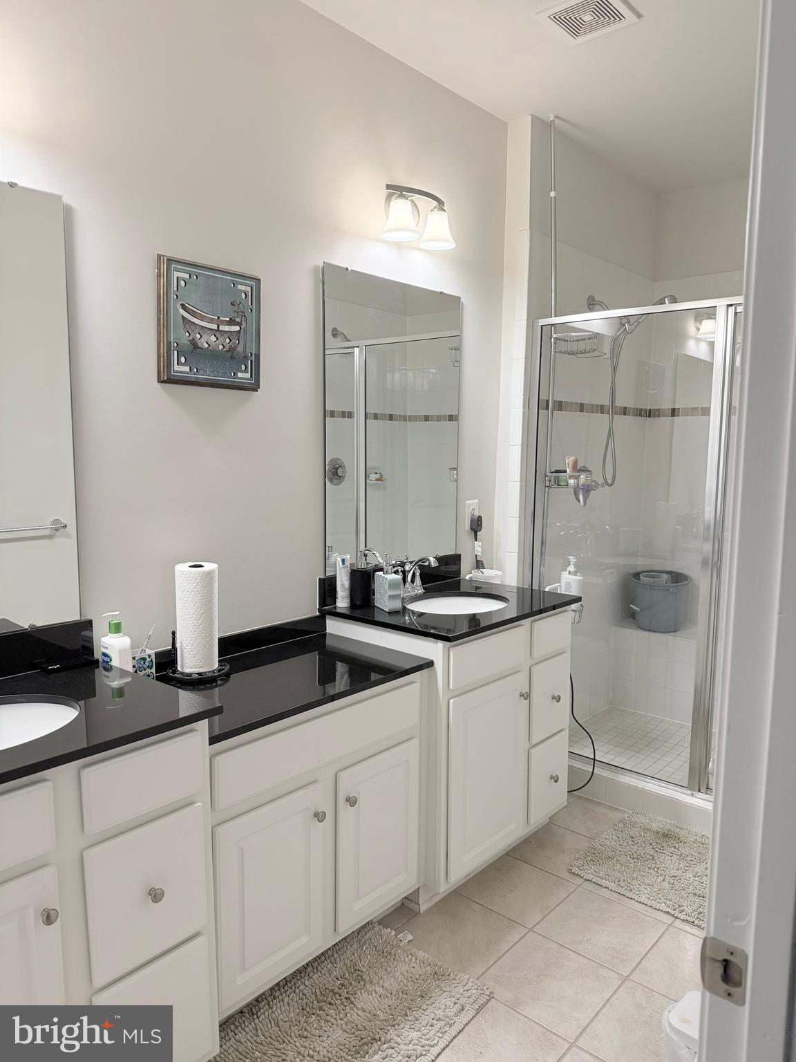 22269 Sims Terrace Ashburn, VA 20148 - Photo 42 of 44 a spacious bathroom with double sink and a mirror