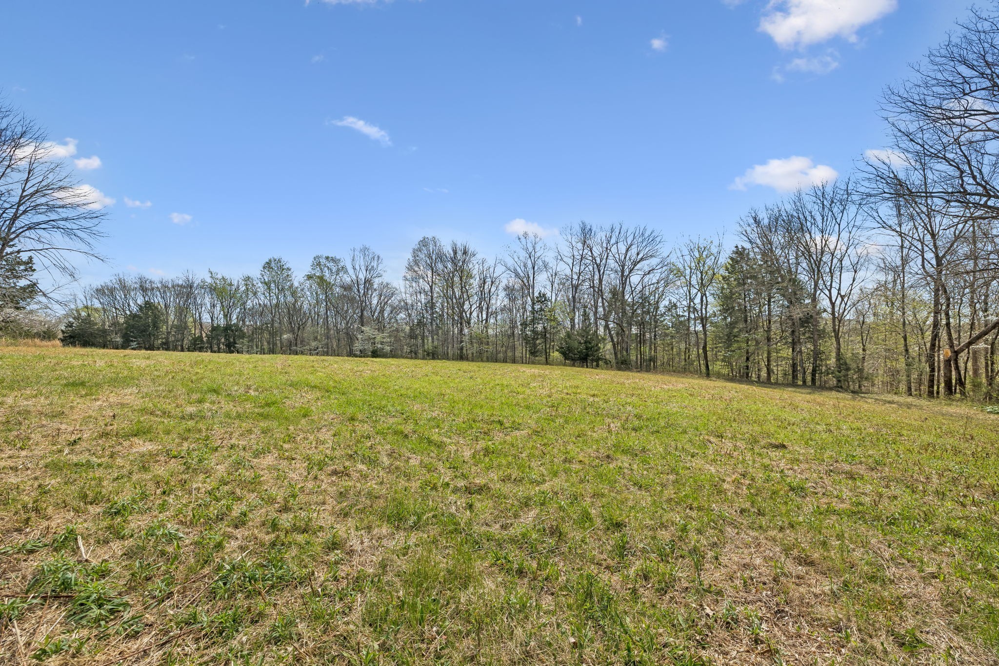 0 Turney Road Auburntown, TN 37016 - Photo 9 of 46 Gallery Image 9