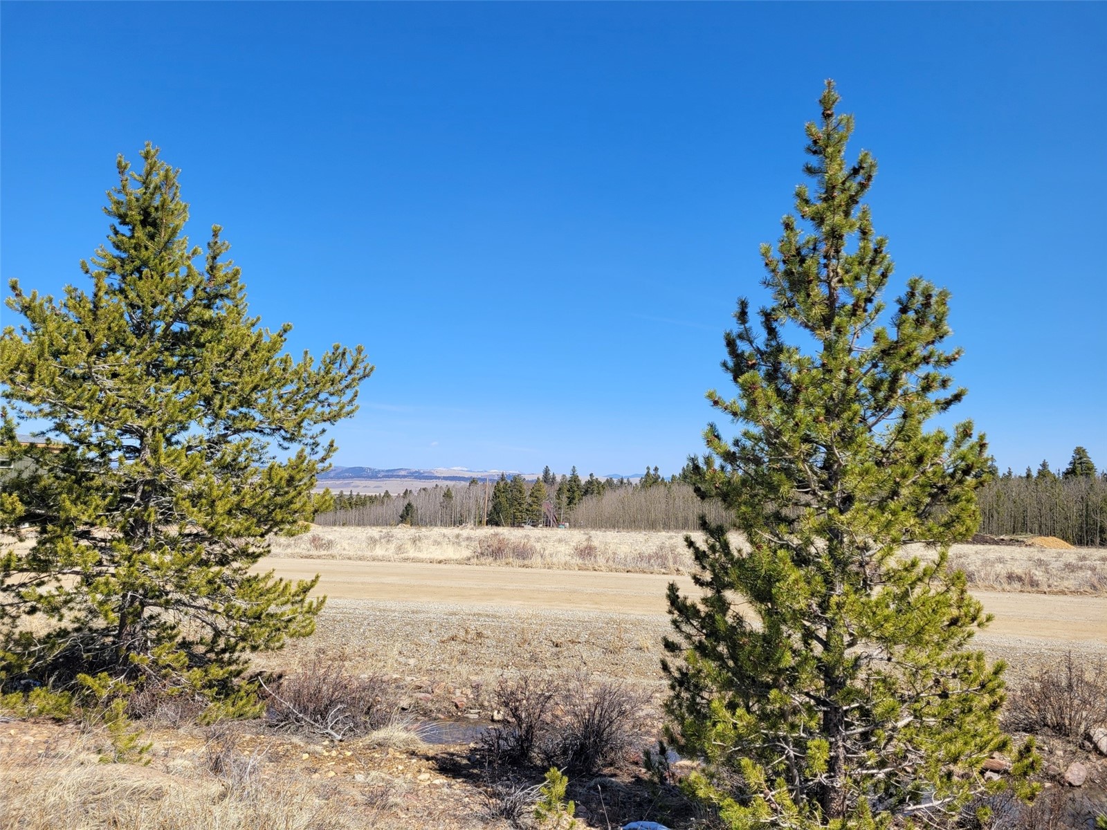 395 Wild Rye Road Fairplay, CO 80440 - Photo 9 of 20 Gallery Image 9