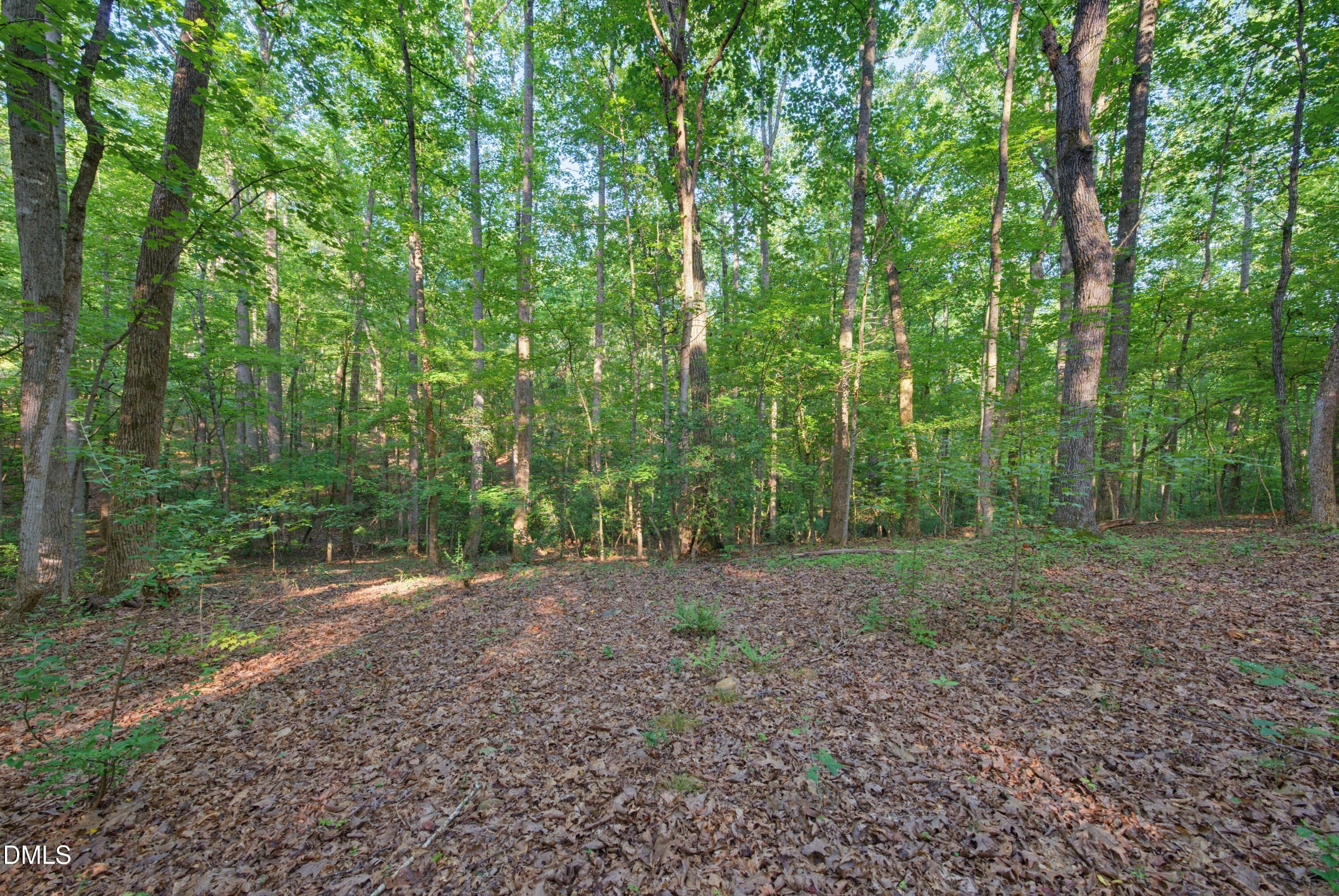 100 Sloping Pond Road Pittsboro, NC 27312 - Photo 10 of 24 DSC04589