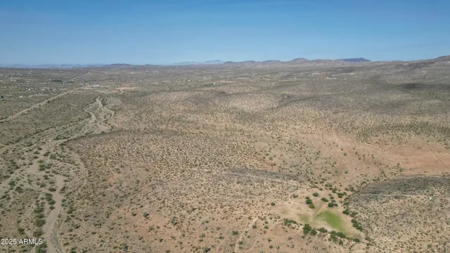 a view of a dry yard