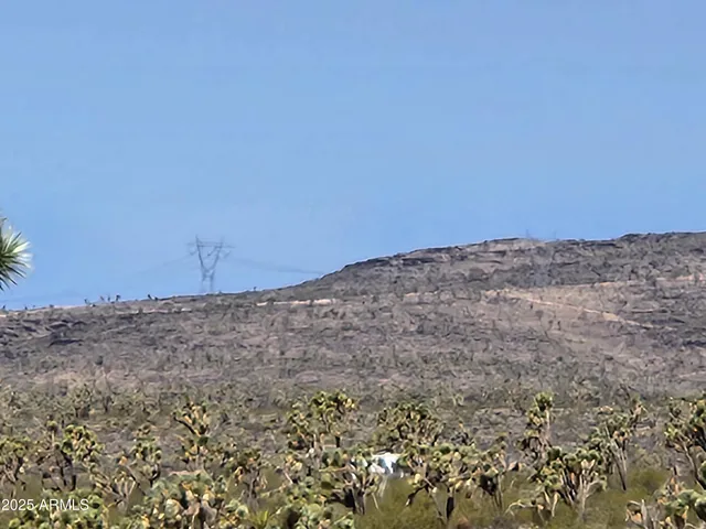 a view of a dry yard