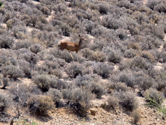 a close view of a bathroom shower