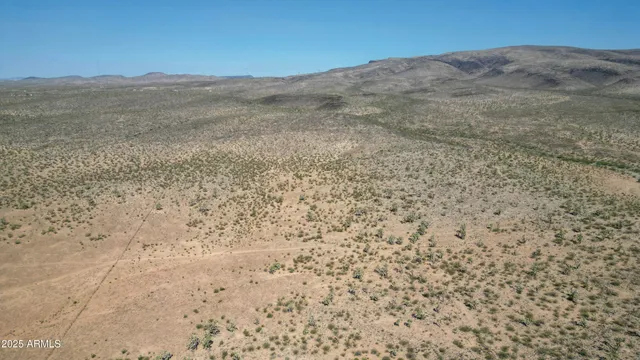 a view of a dry yard with mountains in the background