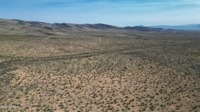 a view of a dry yard with mountains in the background