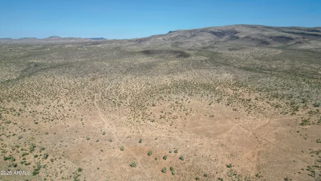 a view of a dry yard with mountains in the background