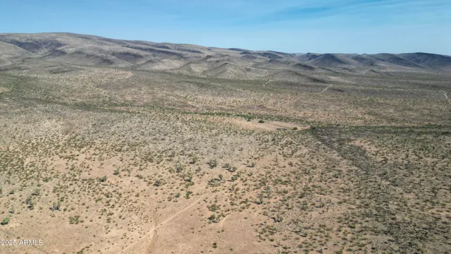 a view of a dry yard with mountains in the background
