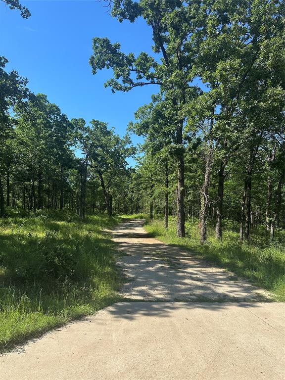 14192 Ridge Lane Malakoff, TX 75148 - Photo 2 of 14 View of road featuring a forest view