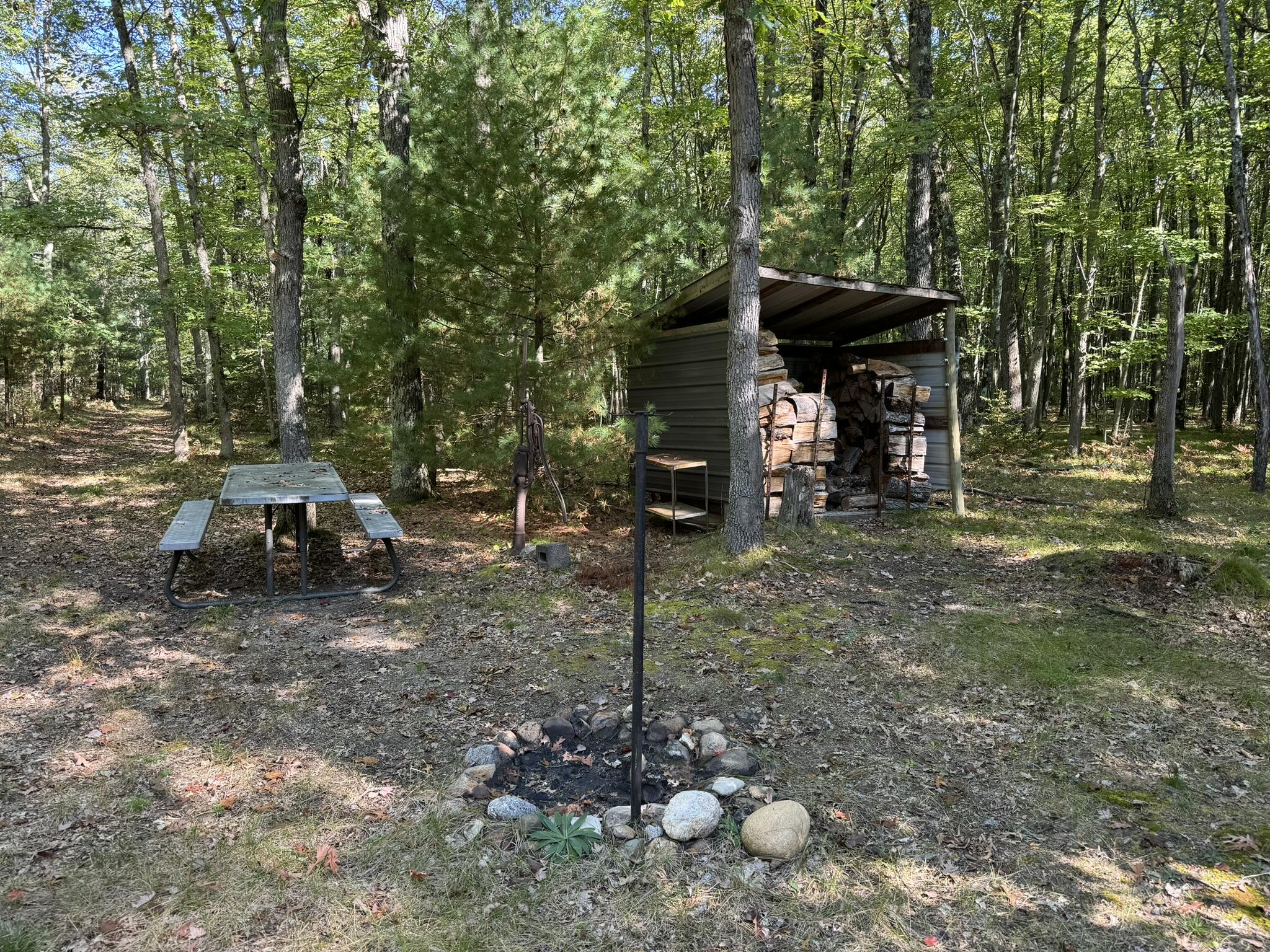6837 North Lone Elk Road Irons, MI 49644 - Photo 5 of 31 IMG_6529