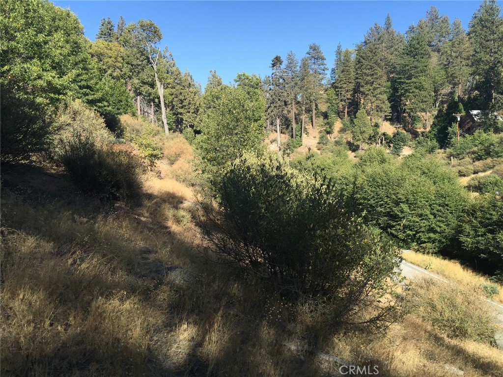 29751 Redwood Road Cedar Glen, CA 92321 - Photo 2 of 7 Gallery Image 2