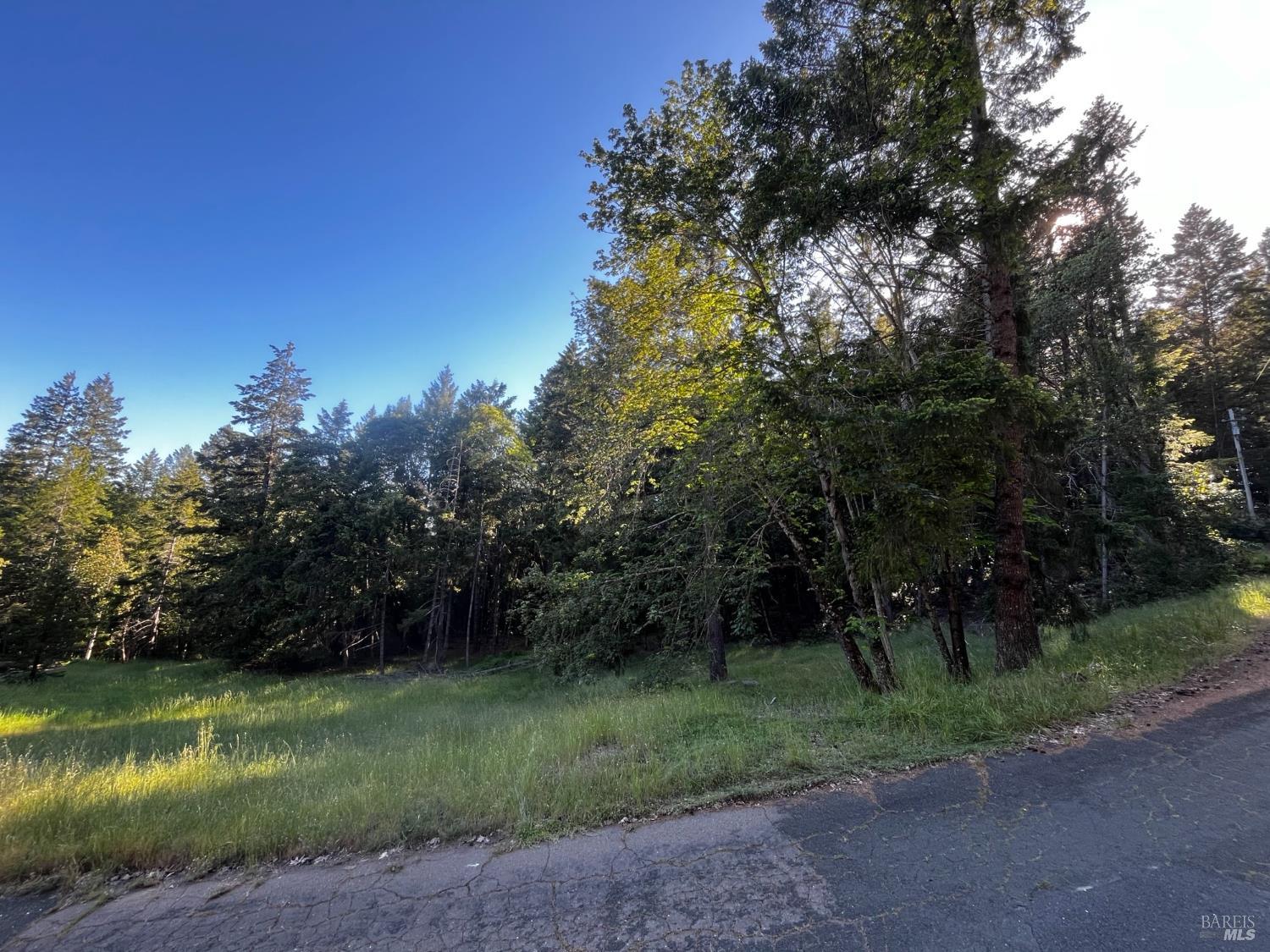a view of a park