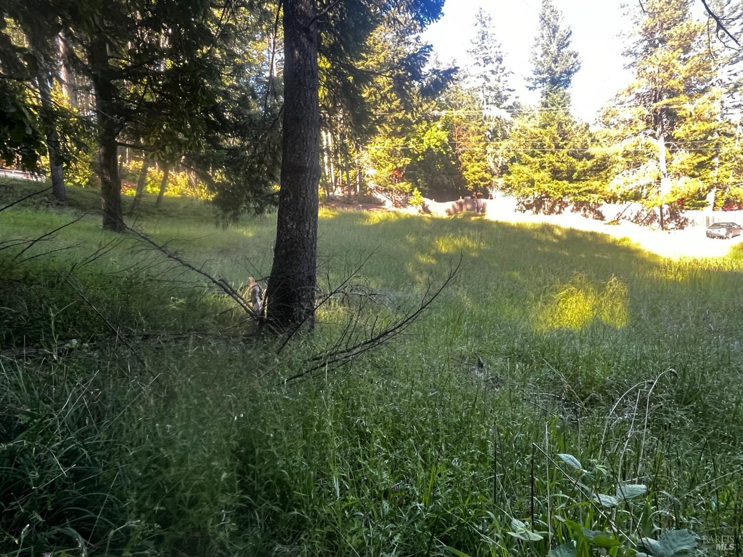 26048 Peacock Road Willits, CA 95490 - Photo 5 of 5 a view of a yard