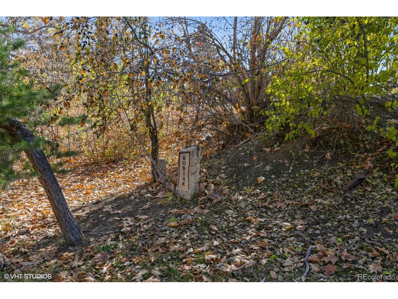 1 Garrison Street Wheat Ridge, CO 80033 - Photo 12 of 28 Gallery Image 12