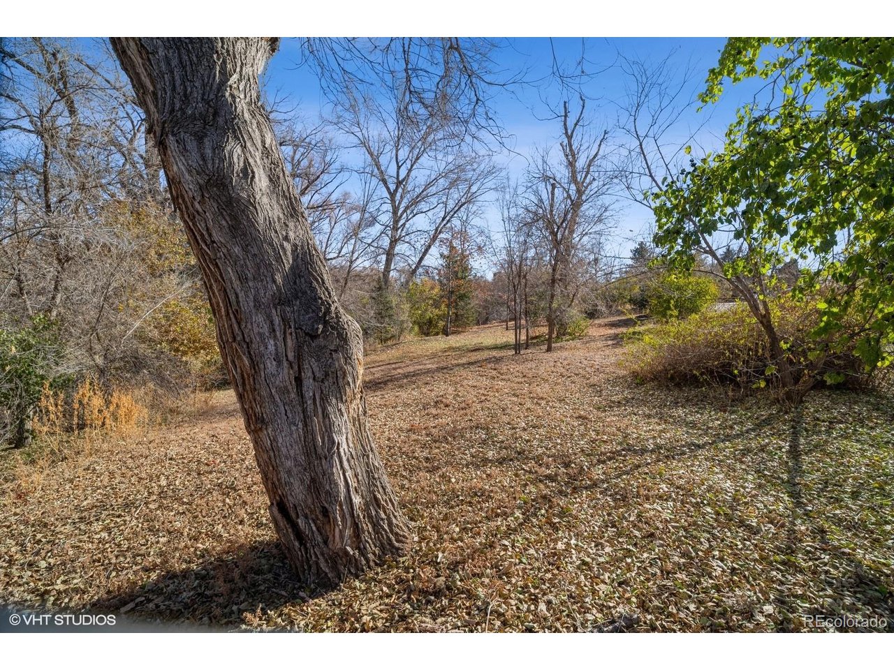 1 Garrison Street Wheat Ridge, CO 80033 - Photo 7 of 28 Gallery Image 7