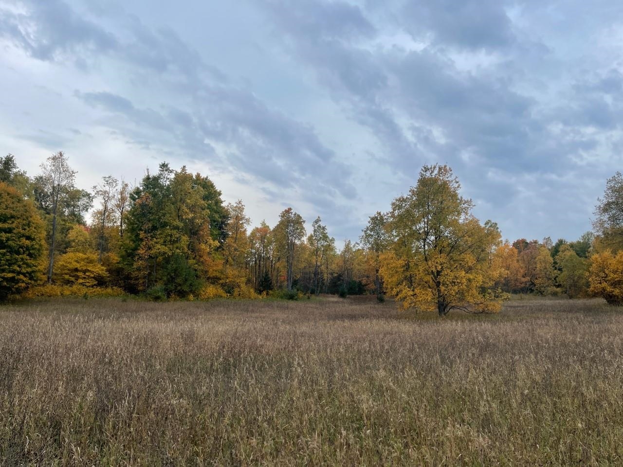 18645 Psutka Road Thompsonville, MI 49683 - Photo 1 of 10