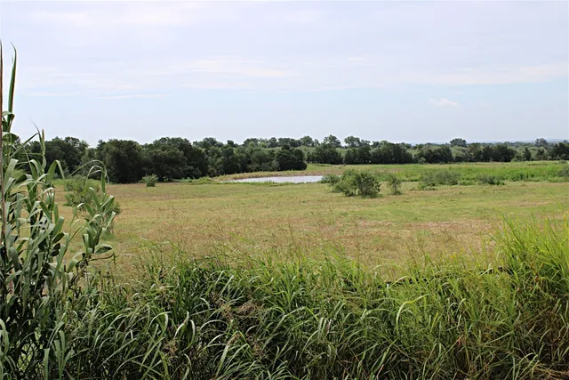 a view of a field with an ocean