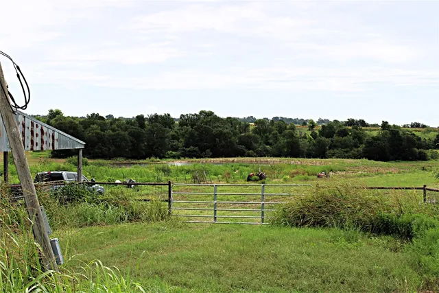 a view of a garden with an outdoor space