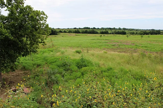 a view of lake with green space