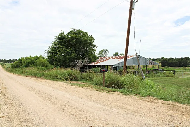 a view of a garden with a tree in the background