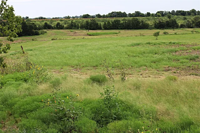 a view of outdoor space with green field and trees
