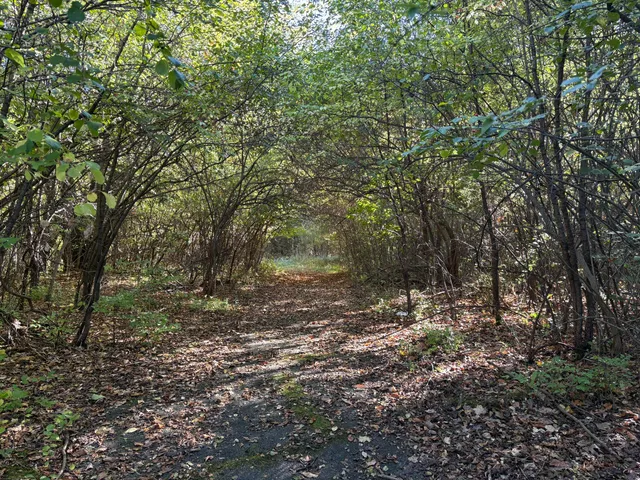 $195,000 | 29 Clinton Way, Jackson, MI 49201